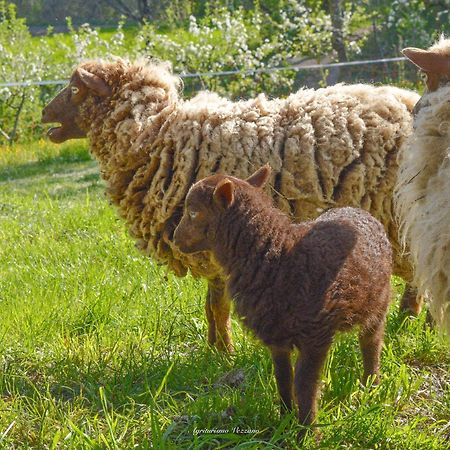 Agriturismo Vezzano تشيوسي ديلا فيرنا المظهر الخارجي الصورة