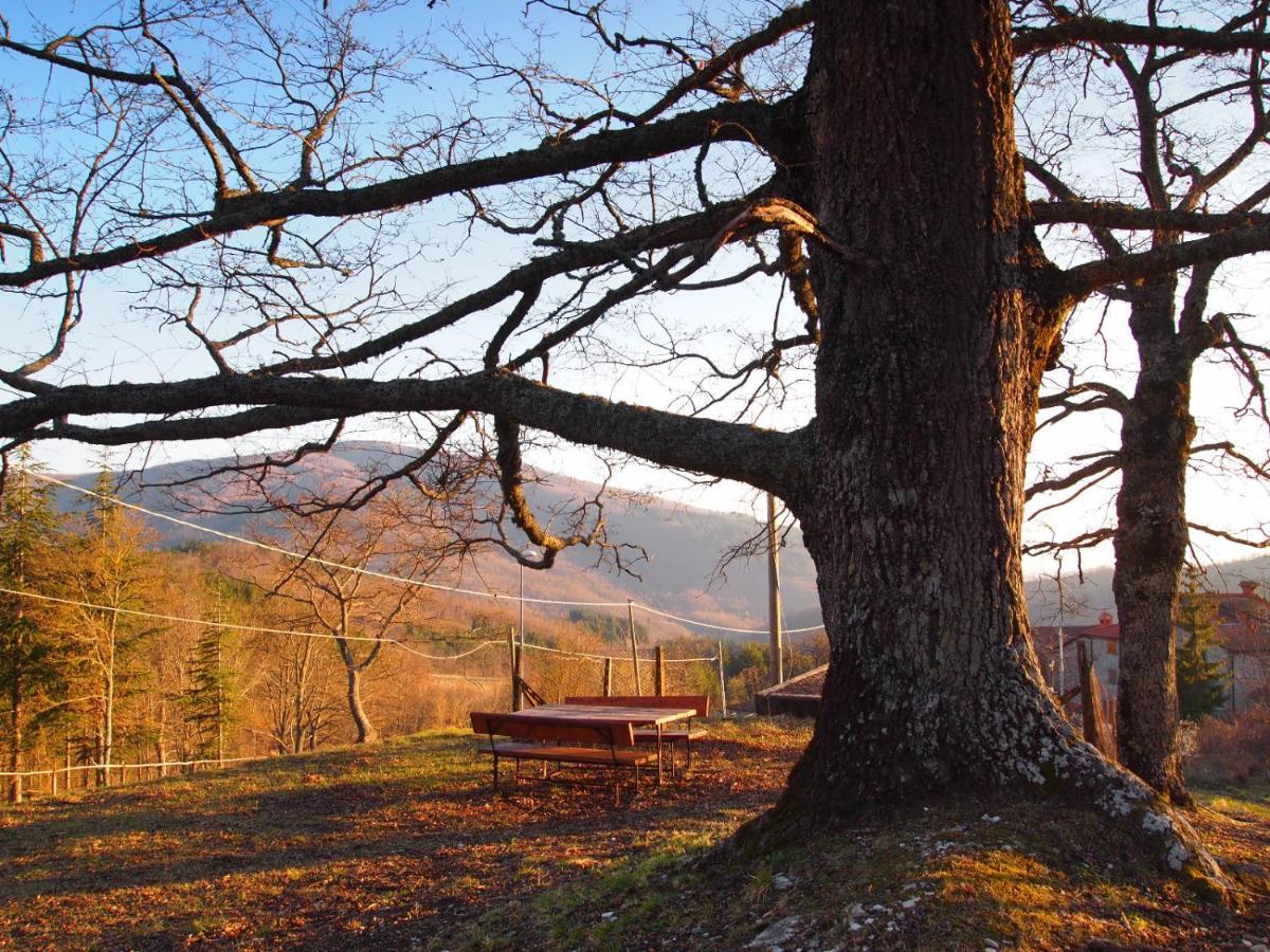 Agriturismo Vezzano تشيوسي ديلا فيرنا المظهر الخارجي الصورة