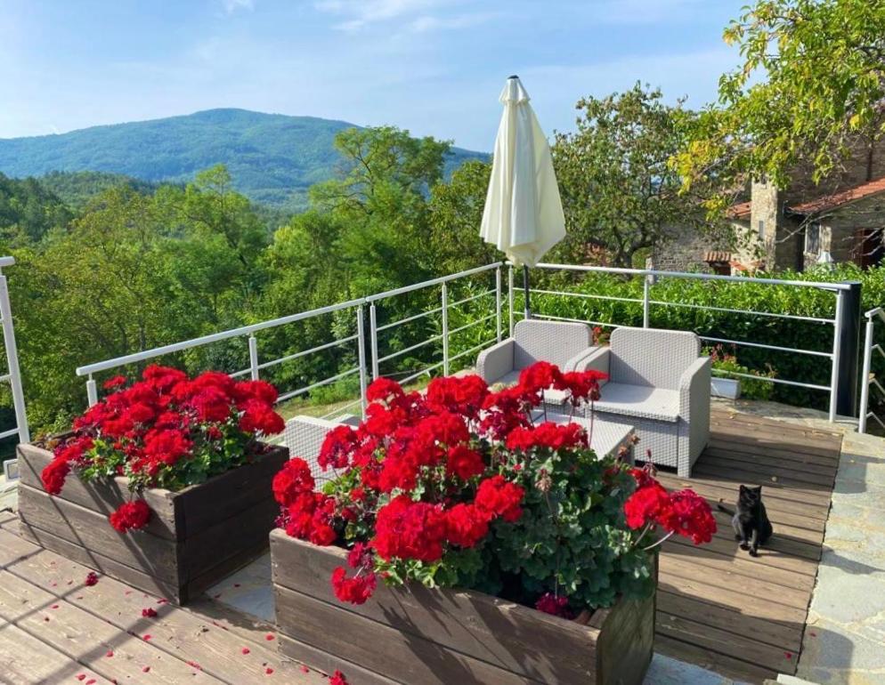 Agriturismo Vezzano تشيوسي ديلا فيرنا المظهر الخارجي الصورة